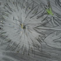 Работа участника