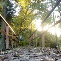 Работа участника