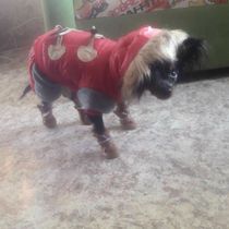 Работа участника