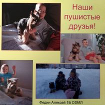 Работа участника